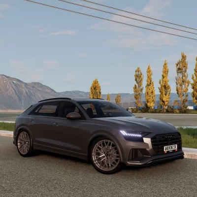 Audi Q8 Pack (SQ8, RSQ8) V3 0.33