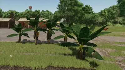 Banana Tree v1.0.0.0