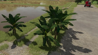 Banana Tree v1.0.0.0