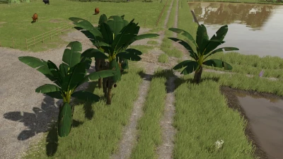 Banana Tree v1.0.0.0