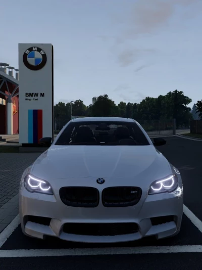 BMW F10 v1.0