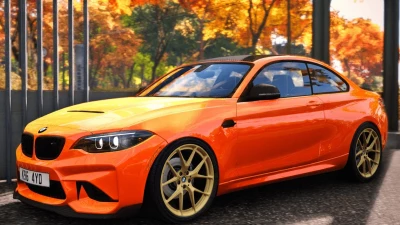 BMW M2 (2016-'22) 0.3x