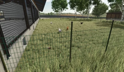 Chickenbarn v1.0.0.0