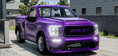 Ford F150 Shelby 0.34