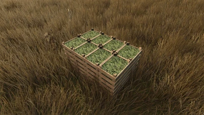 Hemp Growing v1.0.0.0