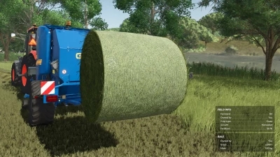 Liftable Pallets And Bales v1.0.0.0