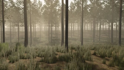 Pinewood Forest v1.0.0.0