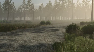 Pinewood Forest v1.0.0.0