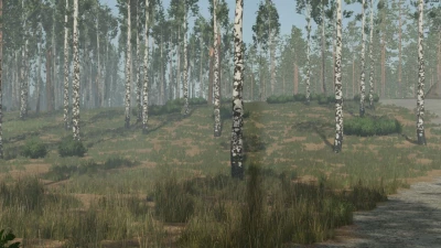 Pinewood Forest v1.0.0.0