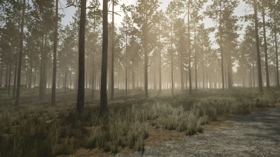 Pinewood Forest v1.0.0.0