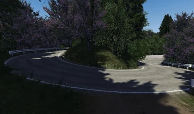 Realistic Touge Project Release #1: Maze Pass v1.0