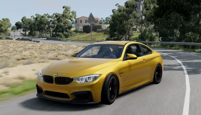 2015-2018 BMW M4 0.31.x