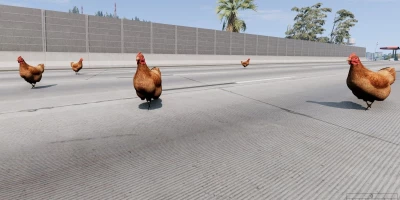 FREE ROAM CHICKEN v1.0