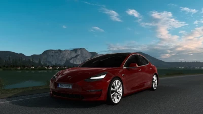 Tesla Model 3 Performance 2021  v1.0