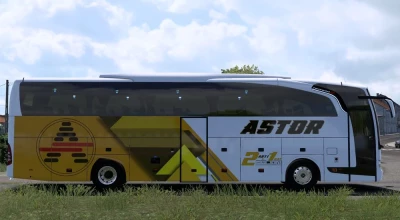 Travego 15SHD Astor Turizm Skin v1.0