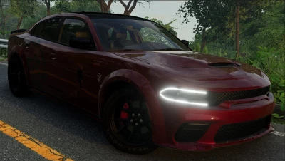 DODGE CHARGER CUSTOM HELLCAT v1.9