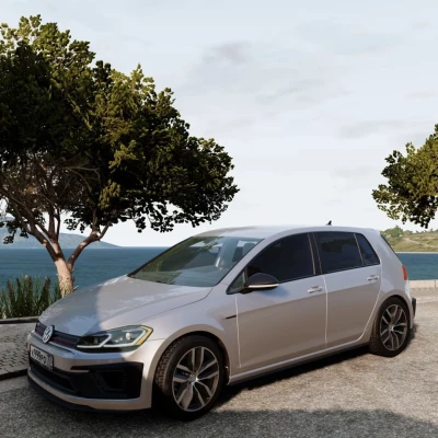 Volkswagen Golf MK7 0.31.x