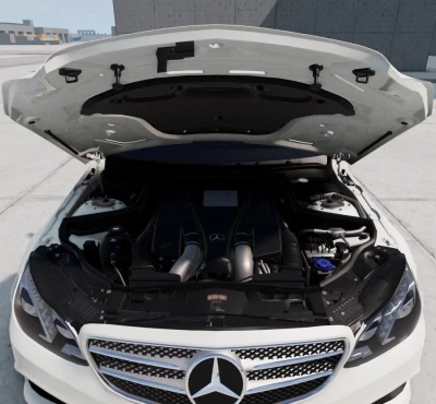 Mercedes-Benz W212 (2009-2012 / 2013-2015) + AMG 100 Configurations 0.31.x