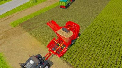 Grimme Rootster v1.5.0.0