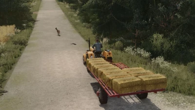 Old Bale Trailer v1.0.0.0