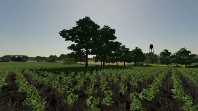 Los Santos Ranch v1.0.0.0