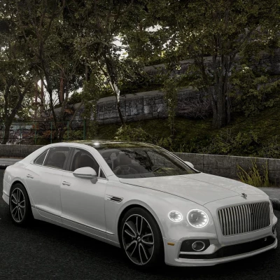 2019-2024 Bently Flying Spur 0.32.x