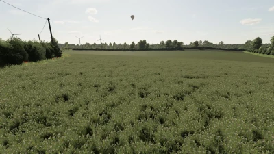 La Petite Bourgogne v1.0.0.0