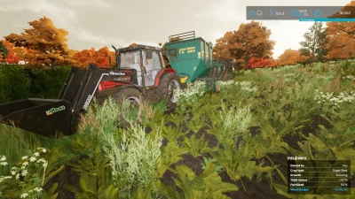 Massey Ferguson 4270 BETA v1.0.0.3