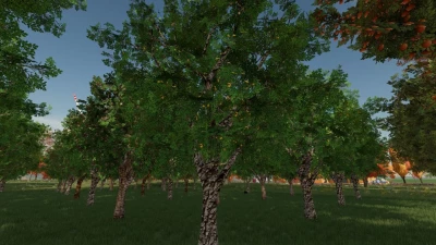 Orchards Fruits v1.1.0.0