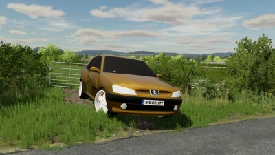 Peugeot 306 v1.0.0.2