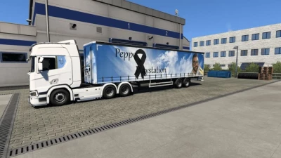 SKIN X PEPPE (scs box trailer) 1.50