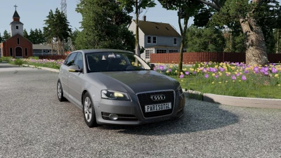 Audi a3 8p 0.32.x