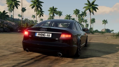 Audi A6 C6 v1.0