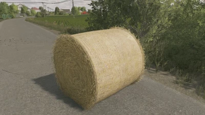 Bale texture 125cm v1.0.0.0