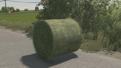 Bale texture 125cm v1.0.0.0