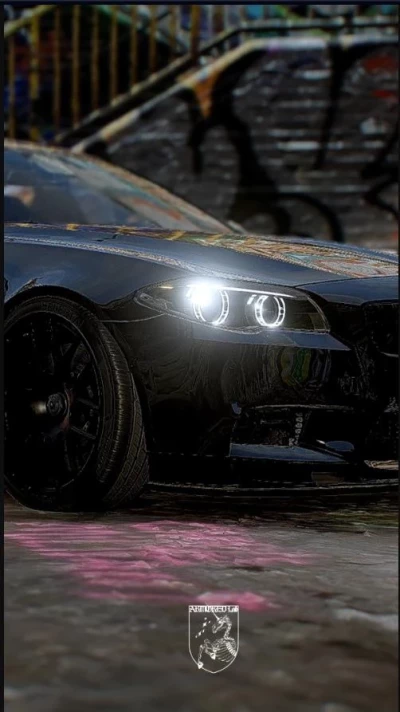 Bmw M5 F10 v1.1.5 Modded 0.31.x