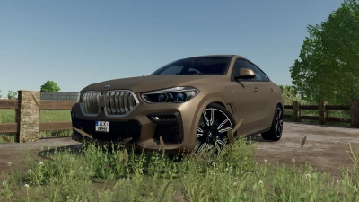 BMW X6 M-Sport 2020 v1.0.0.0