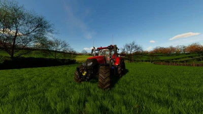 Case IH Puma 165-175 Edit v1.0.0.0