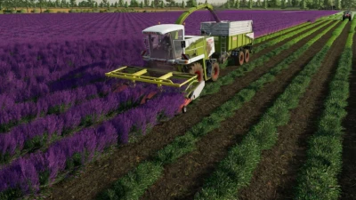 CLAAS Lavender Header Bar v1.0.0.0