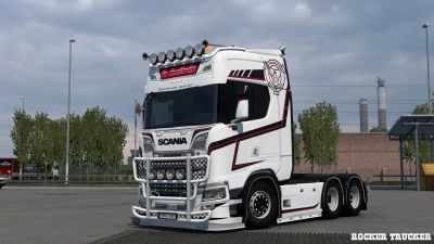 Fredrik Björk Transport Skin for Scania S NG v1.0