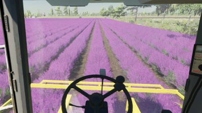 Lavender in Rows (Prefab) v1.0.0.0