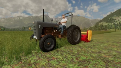 Massey Ferguson 35 4cyl v1.0.0.0