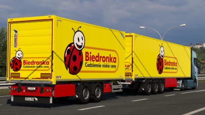 SKIN BIEDRONKA SCHMITZ CARGOBULL S.KO COOL 31 07 2024 1.0 1.50