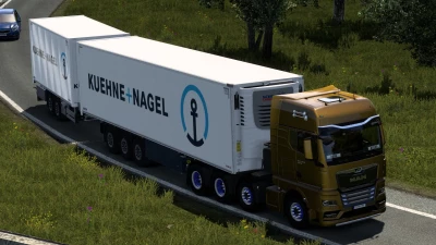 SKIN KUEHNE+NAGEL SCHMITZ CARGOBULL S.KO COOL 13 08 2024 1.0 1.51