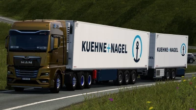 SKIN KUEHNE+NAGEL SCHMITZ CARGOBULL S.KO COOL 13 08 2024 1.0 1.51