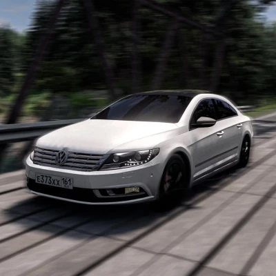 2010 Volkswagen Passat CC v1.0