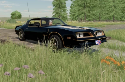 77 Pontiac Trans Am Firebird Bandit v1.0.0.0