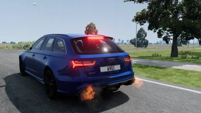 Audi Rs6 C7 v1.0 0.32.x