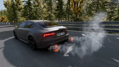 Audi RS7 C7 V1.0 0.32.X