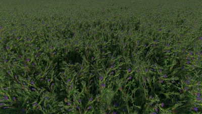 Clover and Alfalfa Texture v1.0.0.0